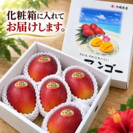 【2027年6月下旬から順次発送・贈答用】完熟アップルマンゴー約1.5kg(3玉～6玉)【配送不可地域：離島】【1783972】