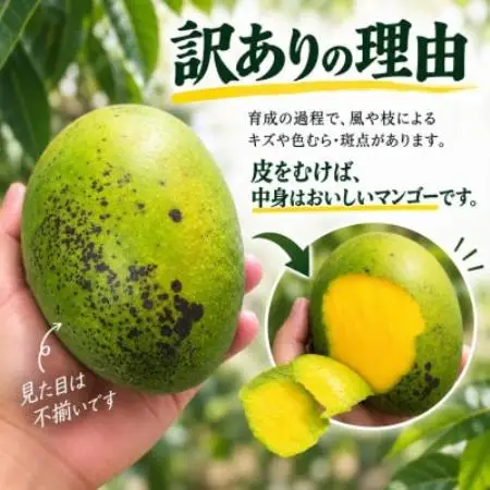 2027年8月中旬から順次発送・家庭用】幻のキーツマンゴー約2kg(2玉～3