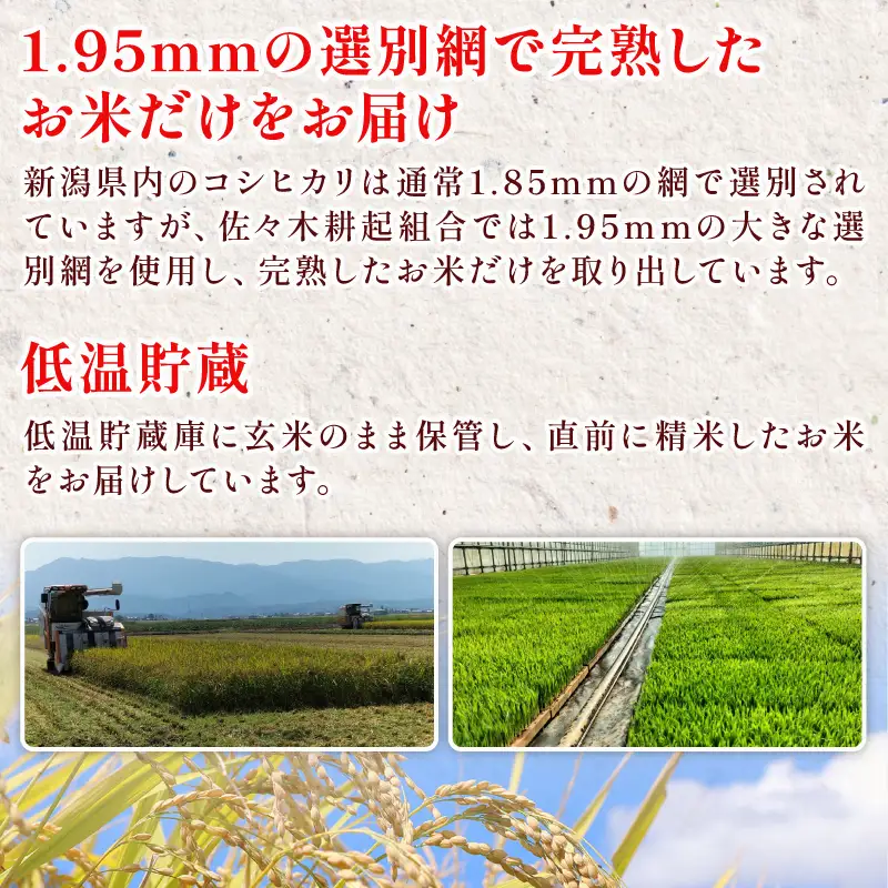 【新米受付開始！】 特別栽培米 米 コシヒカリ 計2kg 2kg × 1袋 米 白米 ご飯 料理 おにぎり 弁当 新潟県 新潟産 新発田産 コシヒカリ 佐々木耕起組合 新潟県 新発田市 非常食 備蓄 米 米 米 米 米 ssk001