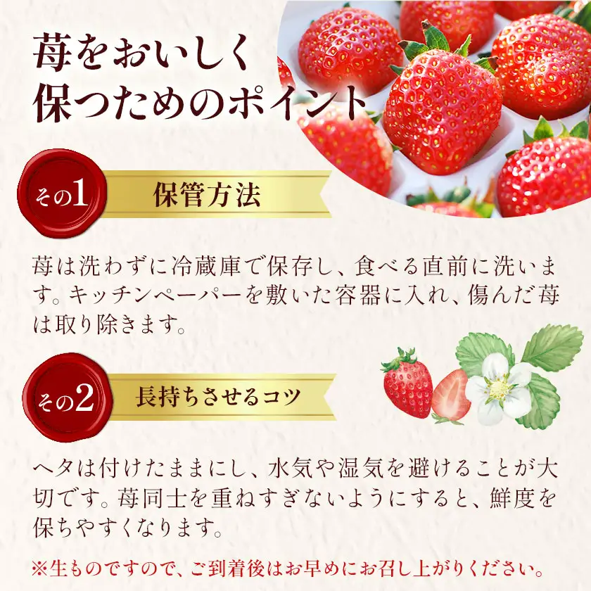 ミルキーベリー 約280g 2パック 計560g 澳原いちご農園