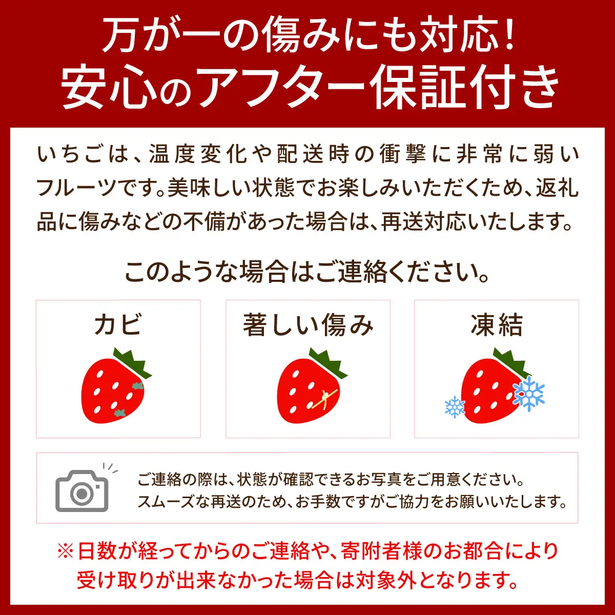アフター保証対象！【先行予約】福岡産 冬 あまおう 2パック（12月上旬より発送） | 苺 いちご イチゴ 完熟 あかい まるい おおきい うまい フルーツ 果物 デザート 期間限定 産地直送 冷蔵 お取り寄せ グルメ 送料無料 福岡県 那珂川市