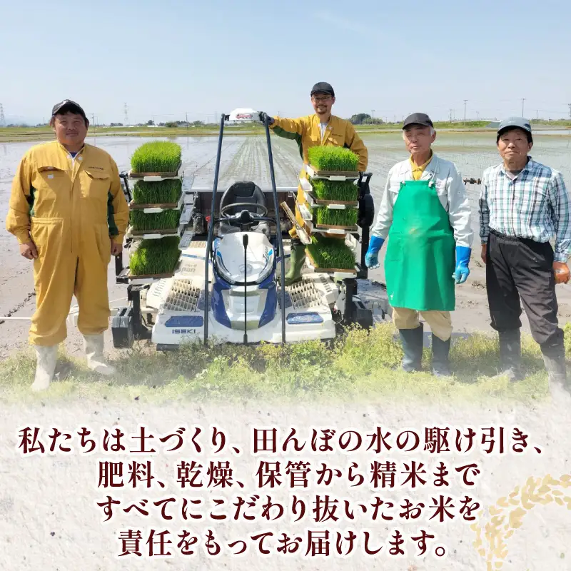 【新米 定期便】 令和8年産 新潟県産 ミルキークイーン 6kg × 12ヶ月 米 お米 ごはん 白米 佐々木耕起組合 プレゼント ギフト 贈答 定期便 特別栽培米 佐々木耕起 佐々木こうき 新潟県新発田市産 ssk020