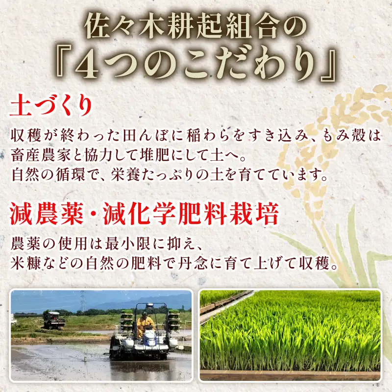 【新米 定期便】 6kg × 12ヶ月 令和8年産 新潟県産 特別栽培米コシヒカリ 米 お米 ごはん 白米 コシヒカリ 佐々木耕起組合 プレゼント ギフト 贈答 定期便 特別栽培米 佐々木耕起 佐々木こうき 新潟県新発田市産 ssk010