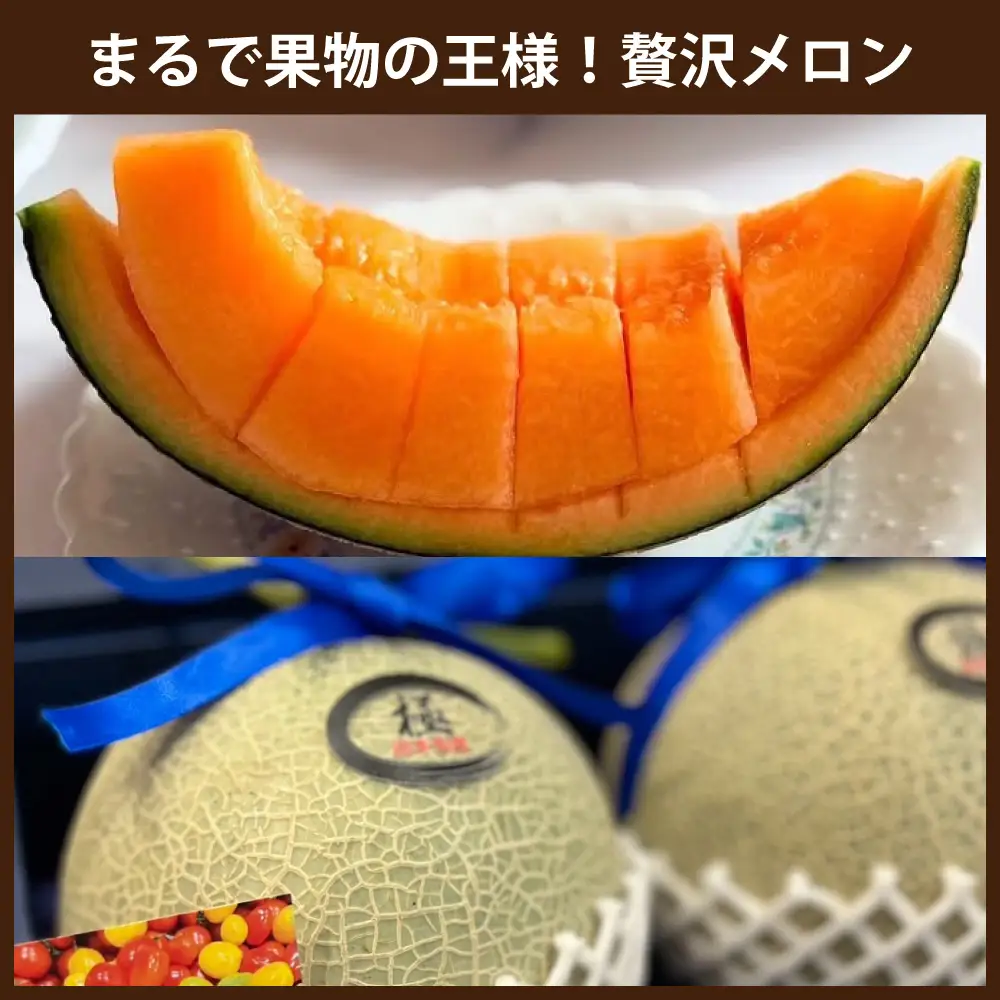 [ 定期月指定2回 ] 目利きが厳選 熊本うまかもん定期便 （ 2回コース ） メロン 果物 フルーツ 馬刺し 馬肉 お肉 ロース 赤身 フタエゴ タテガミ 果実 果汁 果肉 醤油付き 詰め合わせ 食べ比べ おかず おつまみ 定期配送