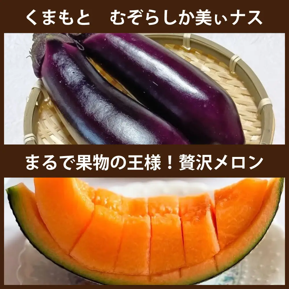 [ 定期月指定4回 ] 目利きが厳選 ほんなこつ うまか定期便 ナス メロン あか牛 野菜 果物 フルーツ 牛肉 お肉 ロース カルビ モモ肉 牛丼 焼肉 果実 果汁 果肉 詰め合わせ 食べ比べ おかず おつまみ 定期配送