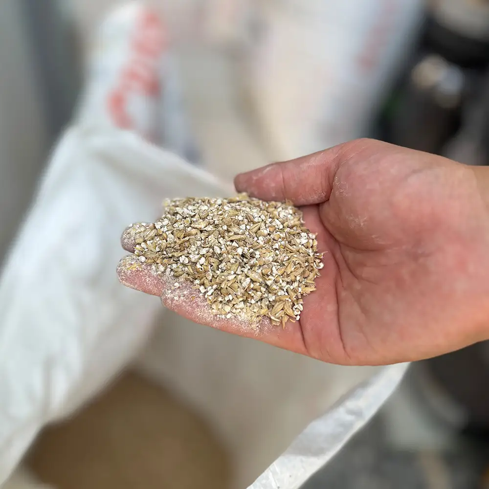 桑折発祥のりんご「王林」を使用！「王林ペールエール」6本セット ／ ビール クラフトビール 地ビール ビールセット 330ml 瓶ビール 家飲み ギフト お取り寄せ お酒好き プレゼント 小容量 飲みやすい ビール好き 桑折 こおり こおりまち 福島県 特産品 半田銀山ブルワリー 【07301-0303】