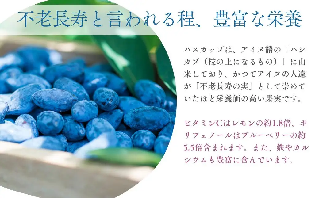 冷凍 ハスカップ 計1kg [AXAB086] ハスカップ