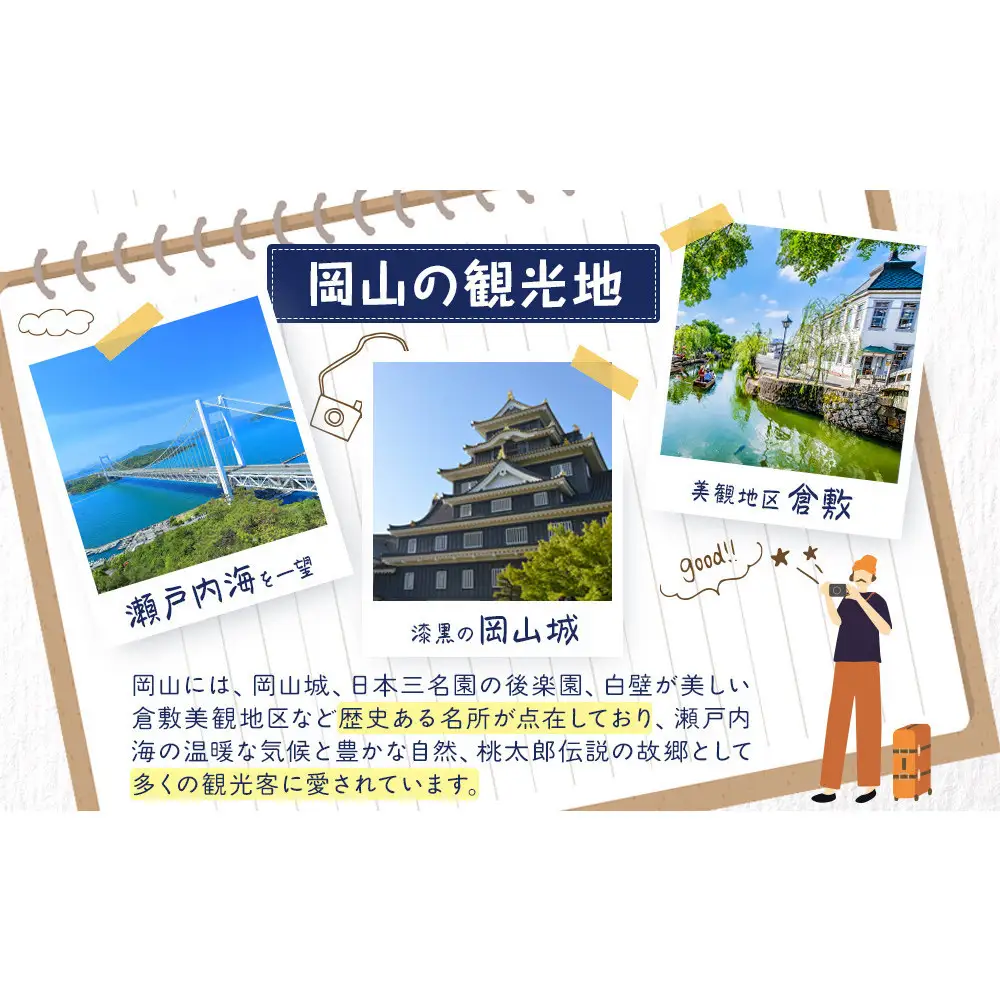 岡山県産ヒノキ使用　ジグソーパズルJAPAN【思いやり型返礼品（支援型)】