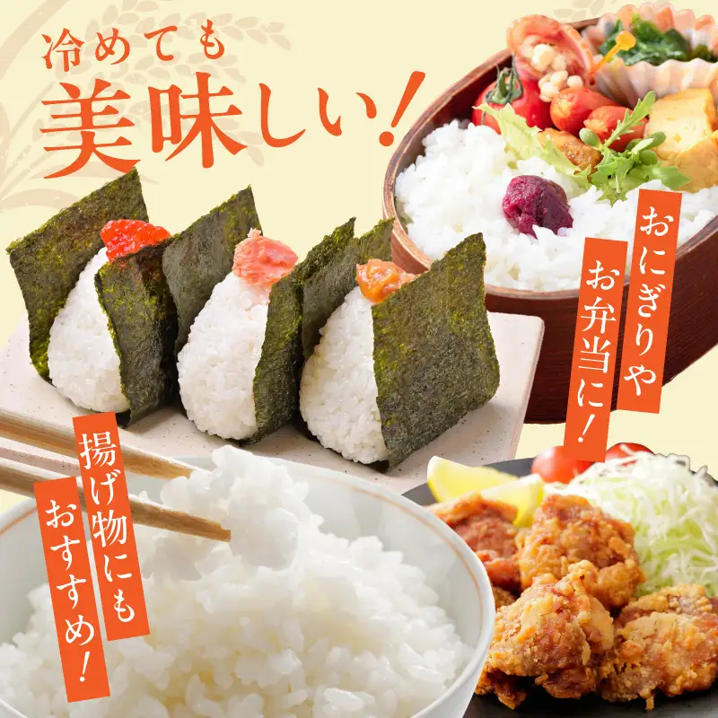令和8年産 泉佐野産 にじのきらめき 5kg
