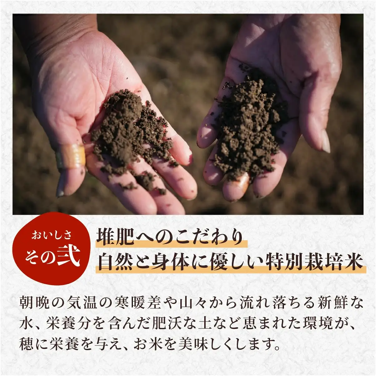 定期便 新米  丹波篠山産 特別栽培米コシヒカリ 精米 3kg×6回 定期便