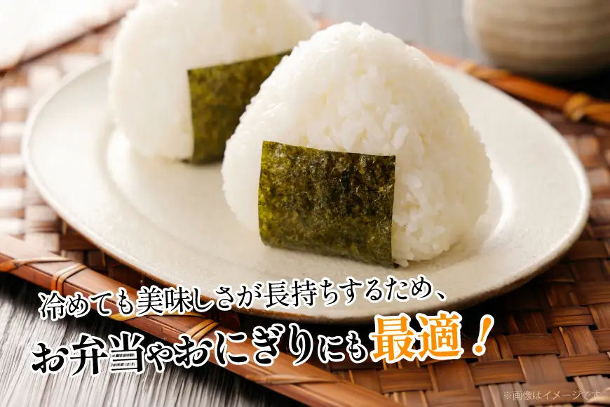 米 令和8年産 つや姫 白米 5kg