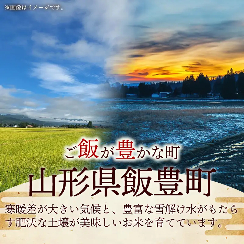 令和８年産 はえぬき 白米 10kg (5kg×2袋) - 山形県 飯豊町産 米 精米 品種 銘柄 ブランド米 ご飯 ごはん おすすめ 送料無料