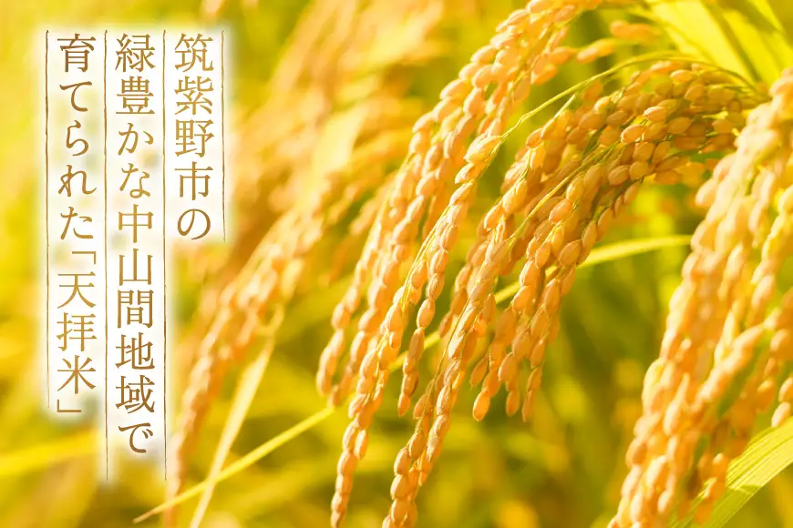 米 令和8年産 夢つくし 天拝米 5kg