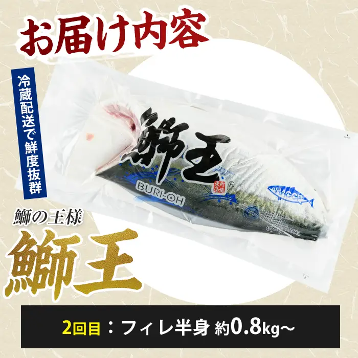 ＜定期便・毎月発送 全3回＞「鰤王」 最後は丸ごと一本！ 定期便 鹿児島県 長島町 産産地直送 新鮮 ブランド ぶり 鰤 ブリ 切り身 刺身 ぶりしゃぶ しゃぶしゃぶ 魚 魚介 人気 ランキング【JFA】jfa-1681S