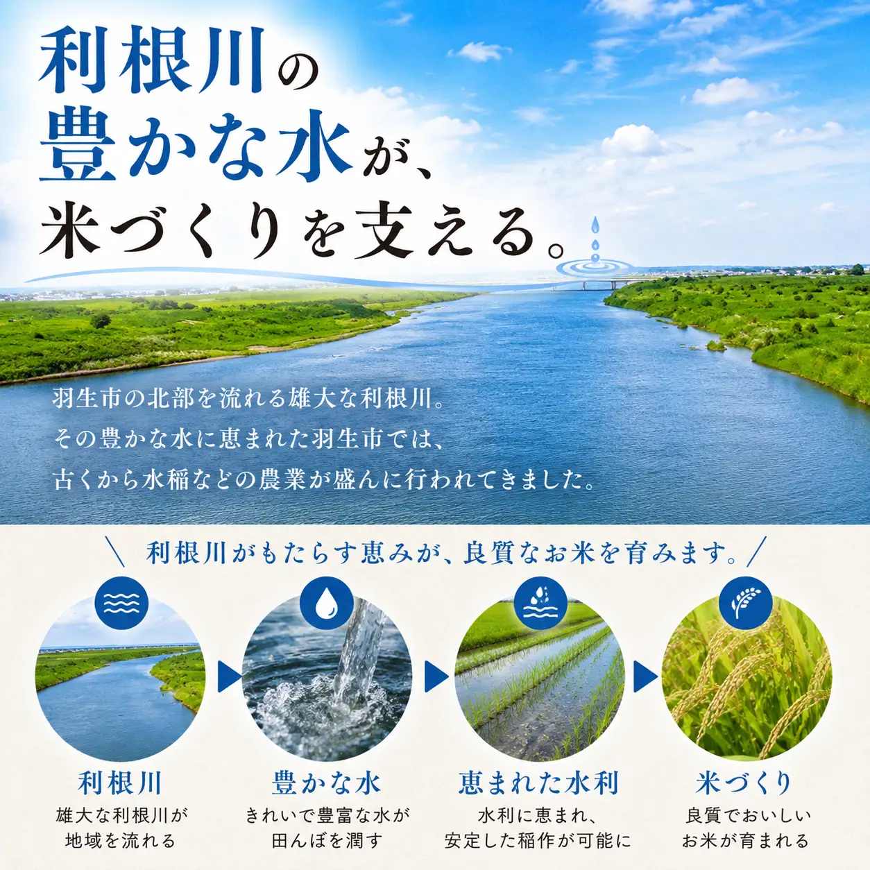 【令和8年度産】新米 にじのきらめき 精米 10kg