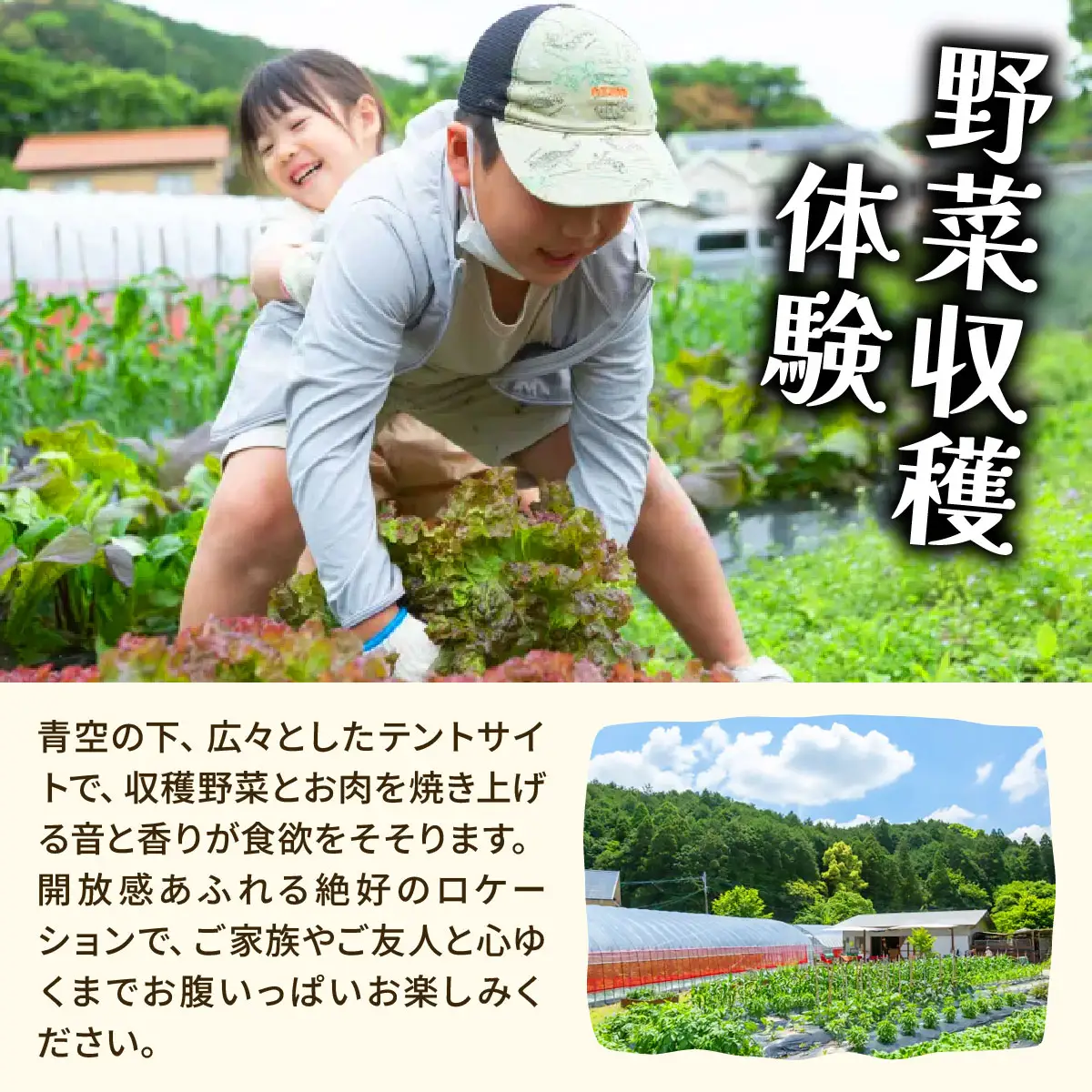 【4種のお肉付きBBQ＆野菜収穫体験】手ぶら＆持込みOK（1組8名）
