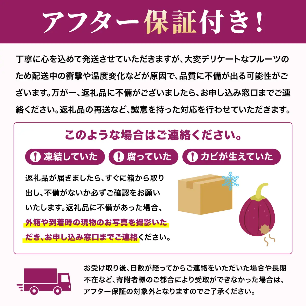 福岡県産 いちじく とよみつひめ 約2.4kg（300ｇ×8パック）