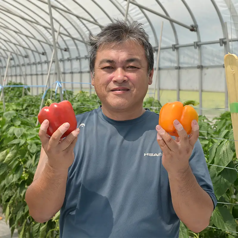 山形県 戸沢村産 彩り豊かな パプリカ&パレルモ 詰め合わせ 約1kg(5～8個) 国産 野菜 やさい パプリカ パレルモ イタリアンパプリカ スイートペッパー サラダ 炒め物 詰合せ セット 贈り物 ギフト プレゼント 自宅 家庭 農家直送 産地直送 F7W-0644