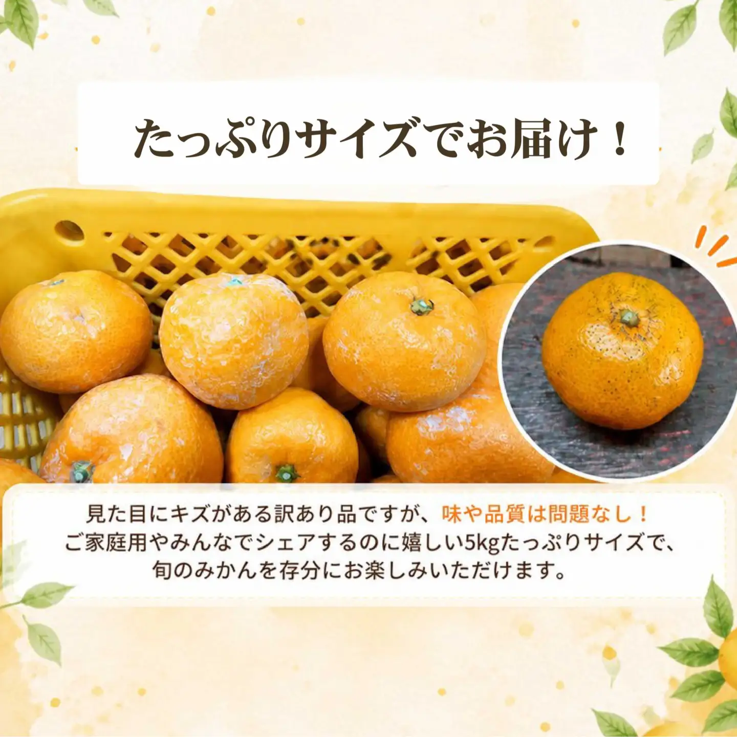 【 訳あり 】 温州みかん 5kg みかん ミカン 蜜柑 柑橘 