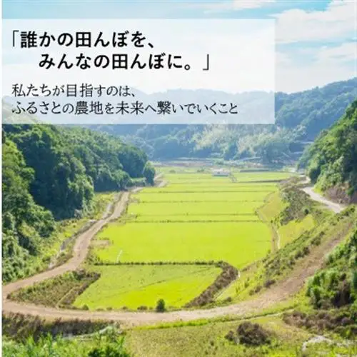 【毎月定期便】小浦れんげ米(にじのきらめき) 無洗米 5kg全3回【4093262】