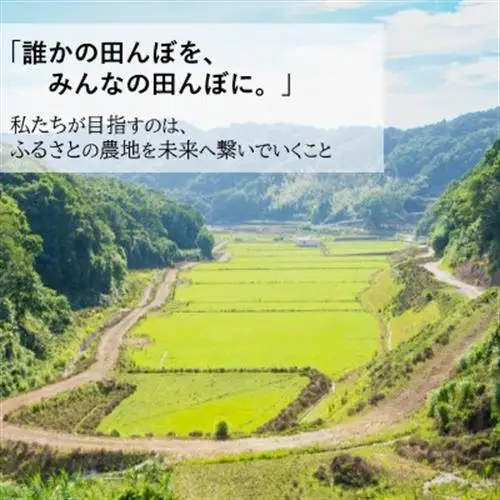 【毎月定期便】小浦れんげ米(にじのきらめき) 無洗米 5kg全6回【4093263】