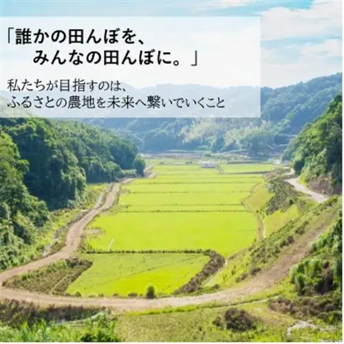 【毎月定期便】小浦れんげ米(にじのきらめき) 無洗米 3kg全3回【4093264】