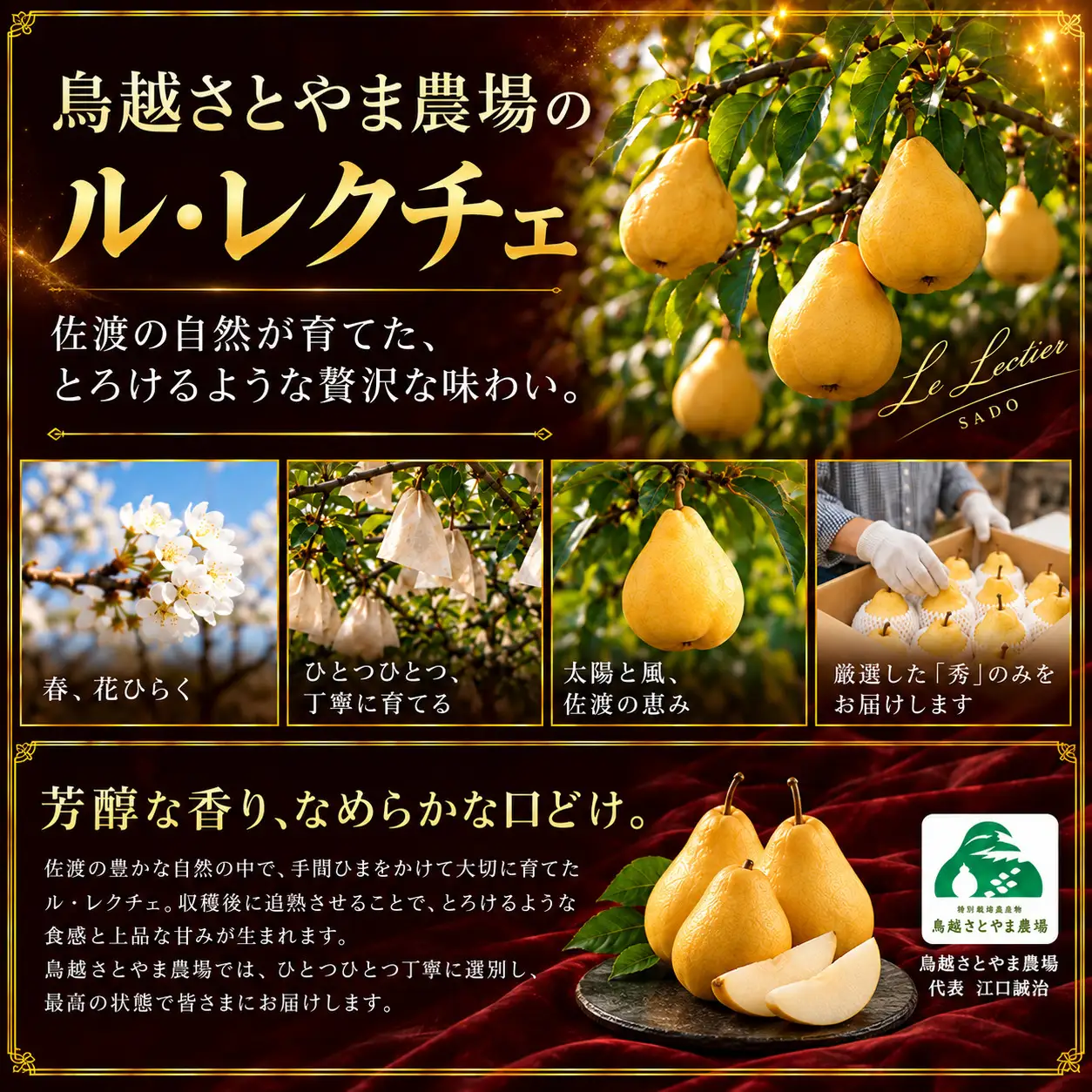 【先行予約】【2026年11月下旬より順次発送】佐渡島産 ル レクチエ 約2kg（5～6個）化粧箱入り・贈答用・秀品