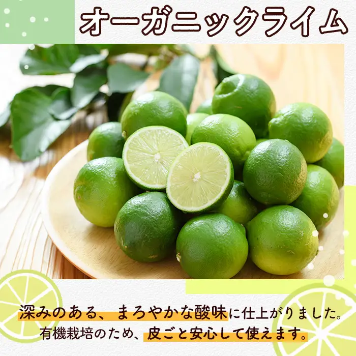 数量限定！有機JAS オーガニックライム(約1kg) 国産 果実 果物 フルーツ 柑橘 デザート 期間限定 有機栽培 健康志向 【中村農場】akn084-12