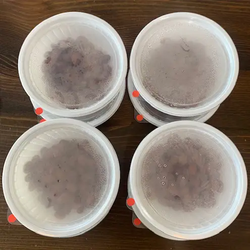 白ほたる豆腐店の赤大豆納豆