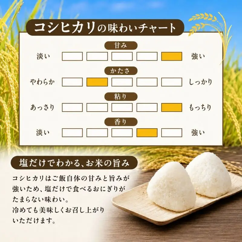 農産物検査員お奨め 魚沼産こしひかり（精米）3kg 3ヶ月連続お届け お米 コシヒカリ