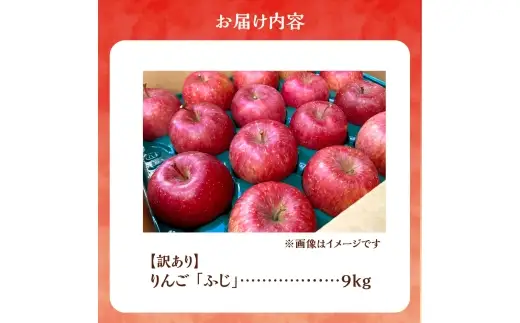 【先行予約：2026年12月上旬より発送】訳アリ りんご（ふじ）9kg【北海道余市町産】_Y103-0071