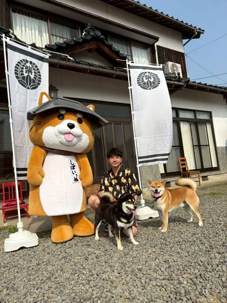 A-1292 しばいっぬへのおやつ