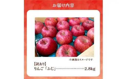 【先行予約：2026年12月上旬より発送】訳アリ りんご（ふじ）2.8kg【北海道余市町産】_Y103-0073