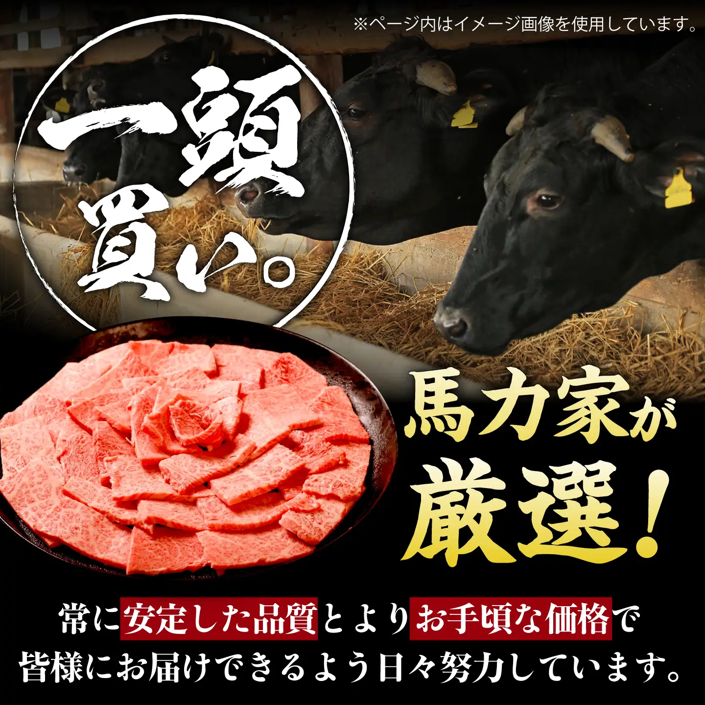 【6回定期便】飛騨牛 肩ロース(焼肉用)400g / 飛騨牛 国産 肩ロース ロース 焼肉 焼き肉 黒毛和牛 和牛 牛肉 BBQ 岐阜県 / 御嵩町 / 馬力家[AVBO106]