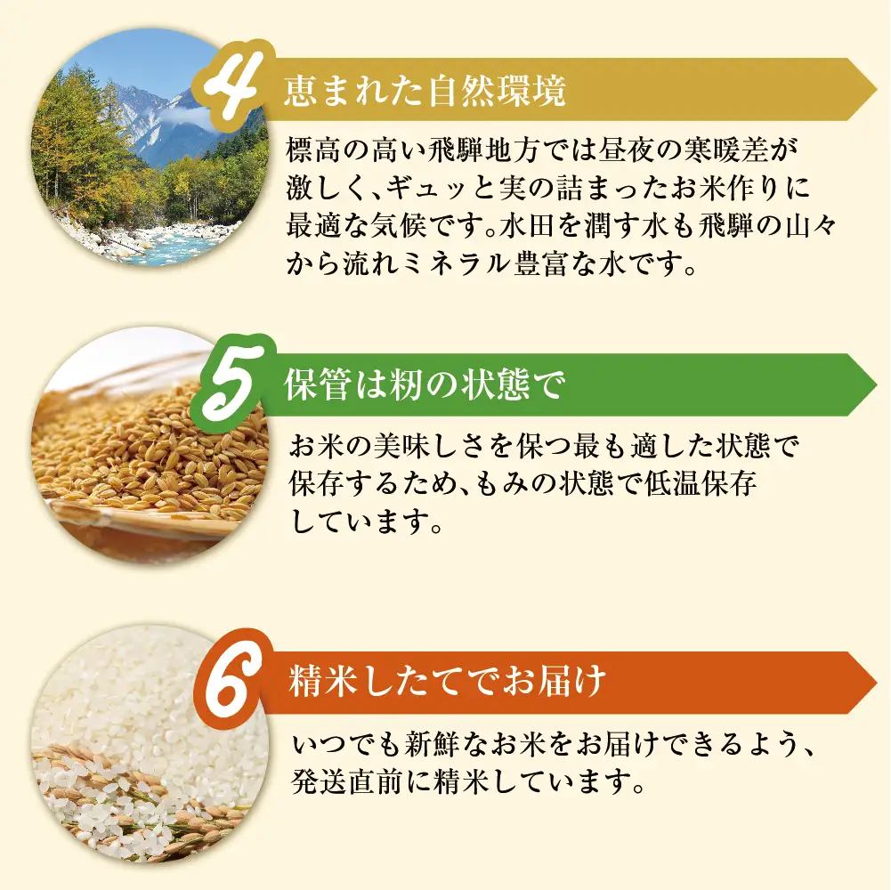令和7年産 こしひかり飛騨っ晴れ 白米 5kg 生産者直送 お米 コシヒカリ 飛騨産 飛騨高山 アグリランド  JF007