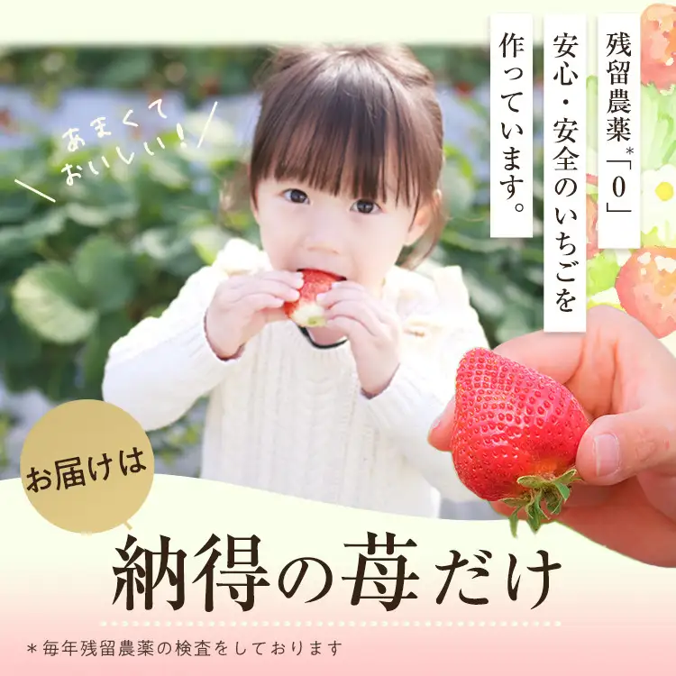＜先行予約受付中！2026年12月～2027年2月発送予定＞ うるう農園の あまおう MLサイズ (計約2.56kg・約160g×16P) 苺 いちご イチゴ 果物 フルーツ 国産 福岡県 ヨーグルト ジャム スムージー 冷蔵 冬発送 特別栽培 ＜離島配送不可＞【ksg1957】【うるう農園】