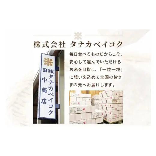 【2027年4月発送】米 にじのきらめき 精米 5kg 令和8年産 茨城県産 お米 こめ コメ ごはん 白米 ニジノキラメキ 茨城県産米 単一米 単一原料米 安心 安全 送料無料 国産 人気 数量限定（85-R8i193_04）