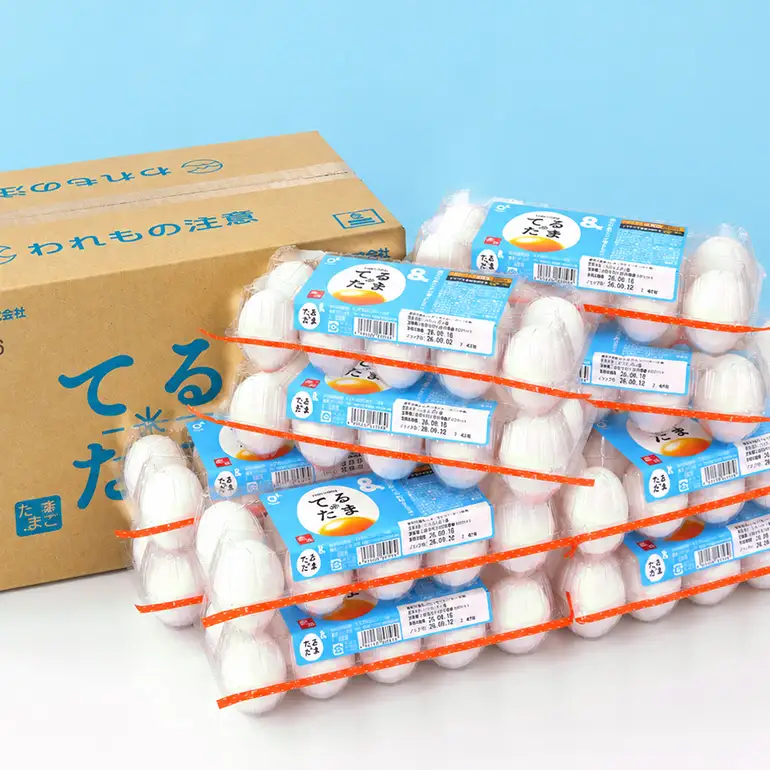 3か月定期 てるたま 10個入×11パック（割れ保障1パックサービス）てるたま 新鮮 鶏卵 玉子 卵かけご飯 卵かけごはん たまごかけご飯 卵焼き たまご焼き 玉子焼き 目玉焼き ゆで卵 栄養 22-K