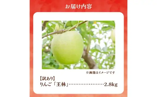 【先行予約：2026年10月下旬より発送】訳アリ りんご（王林）2.8kg【北海道余市町産】_Y103-0078