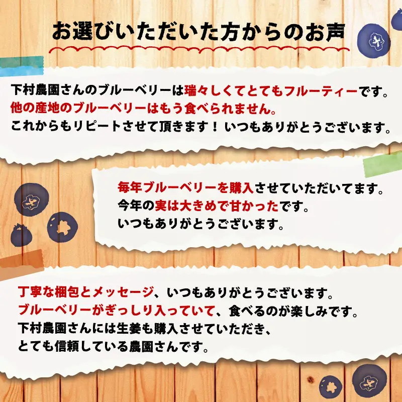 冷凍 ブルーベリー 1kg フルーツ 果物 ベリー
