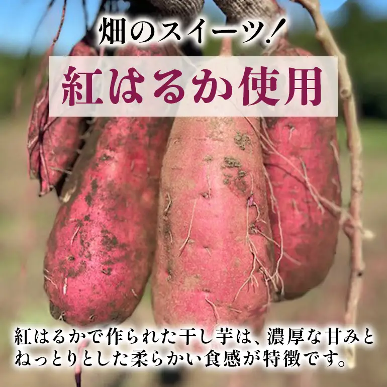【訳あり】茨城県産干しいも「べにはるか」平干し200g、平干し100g×2、丸干し100g A26-009