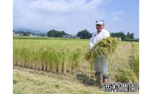 米 定期便 コシヒカリ 120kg ( 10kg × 12ヶ月 ) 《 令和8年 》 福島県 大玉村 西村農園 こしひかり 精米 定期 12回