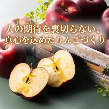 【爽やかな甘み】りんご 「シナノゴールド」家庭用 約5kg (約14～20個) 青森市 産地直送【配送不可地域：離島】【1785158】