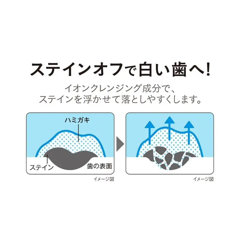 【定期便 半年に一度お届け】ライオン NONIO ハミガキ クリアハーブミント 130g×10本[ LION ノニオ 日用品 歯磨き粉 歯磨き オーラルケア 口腔ケア ]
