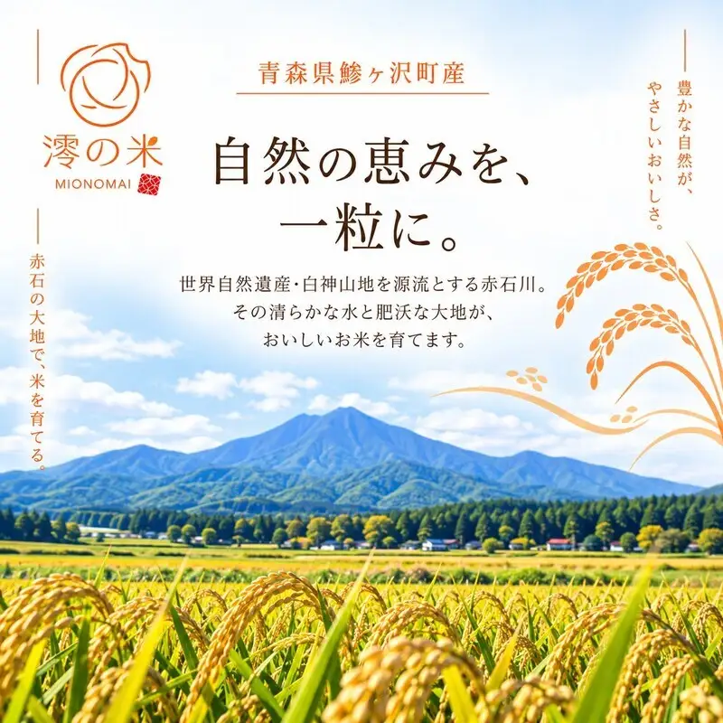 《 3ヶ月定期便 》 令和8年産 まっしぐら 無洗米 5kg （5㎏×1） 青森県産 イワモトファーム まっしぐら