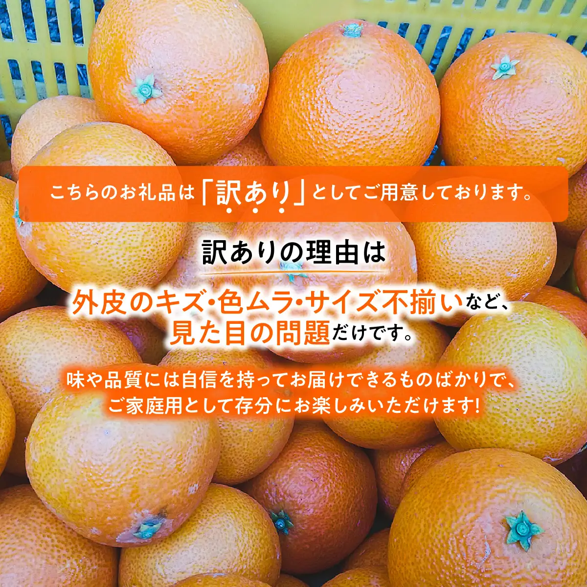 【先行受付】ゼリーのような食感で大人気の「西宇和マドンナ」（紅マドンナと同品種）３ｋｇ【103-6】　YWTBZ002