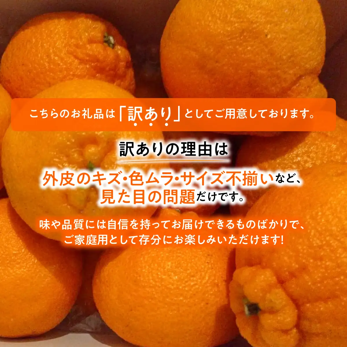 【先行受付】愛媛県八幡浜市産◆しらぬい◆（デコポンと同品種）農家直送でお届け≪訳あり≫５ｋｇ【103-2】　YWTBZ005