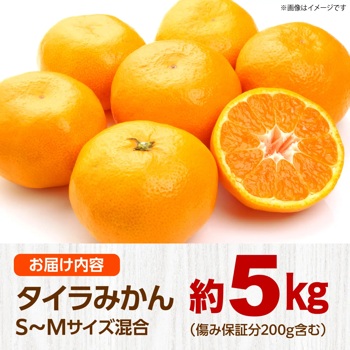 みかん 約5kg [CGR003] みかん