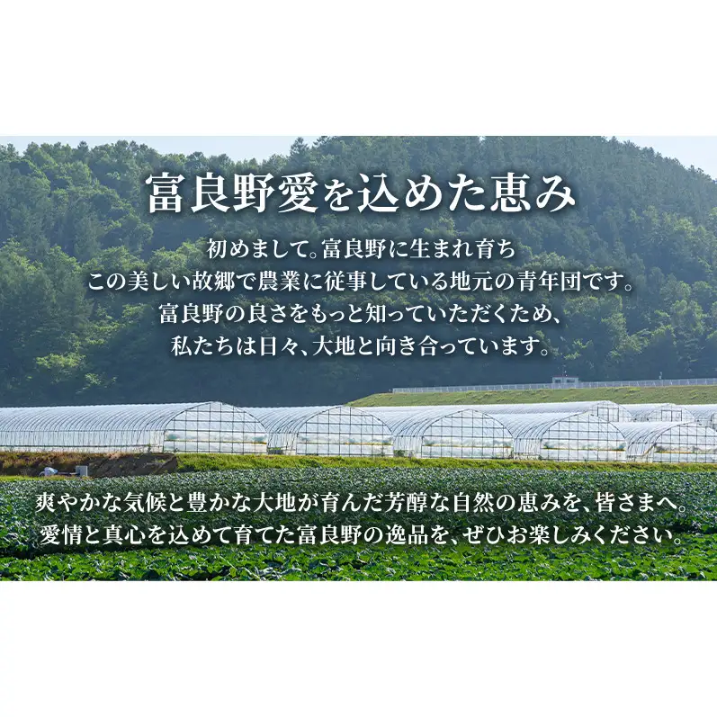 【先行予約】富良野メロン 赤肉 大玉 2玉（計4.4kg以上）北海道 ふらのメロン フルーツ 果物 2027年発送