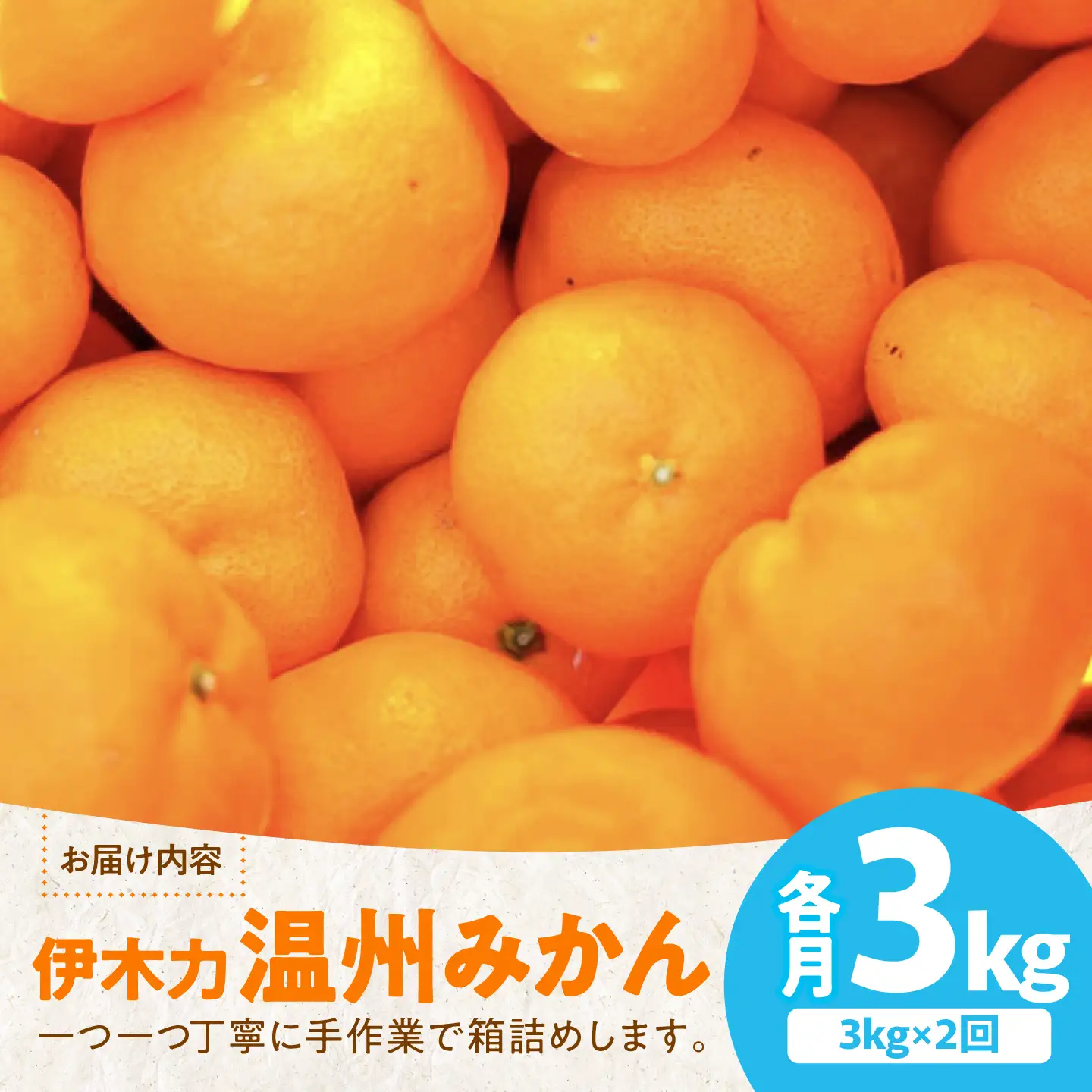 【2回定期便】伊木力温州みかん3kg (ご家庭用、箱入り) / 伊木力 温州みかん みかん ミカン 蜜柑 佐瀬 諫早 多良見 長崎 / 末永果樹園[AHBD008]